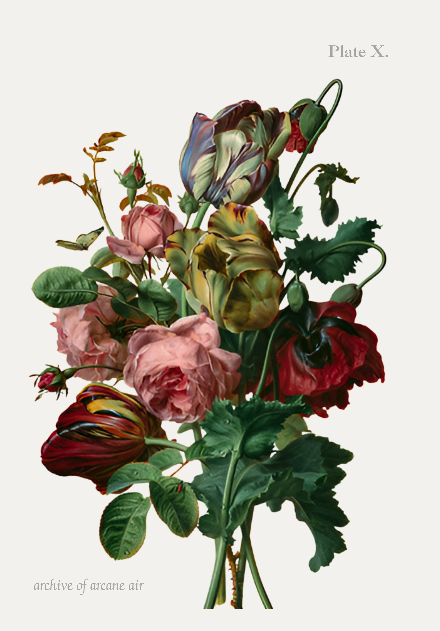 selected florilegium