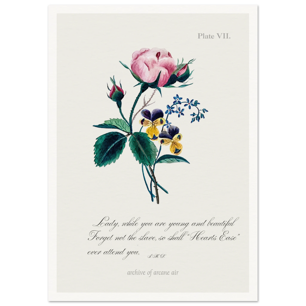 019b1f87-fab6-43b4-a47c-5a024b369747