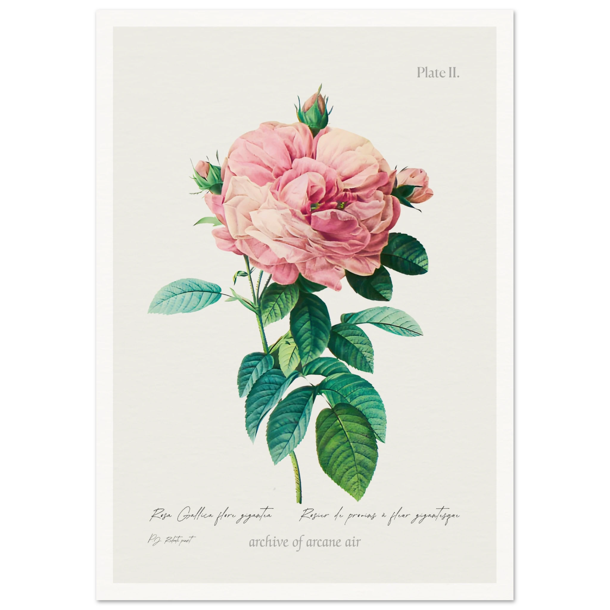 0f0c9381-f23e-435e-9f01-49ffe602fd54