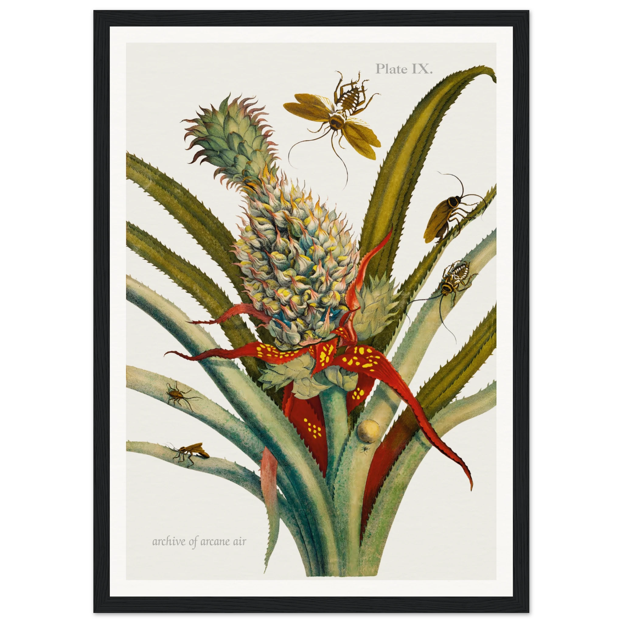 19e7af90-3acb-4eab-8cc5-51e9fd13ff90