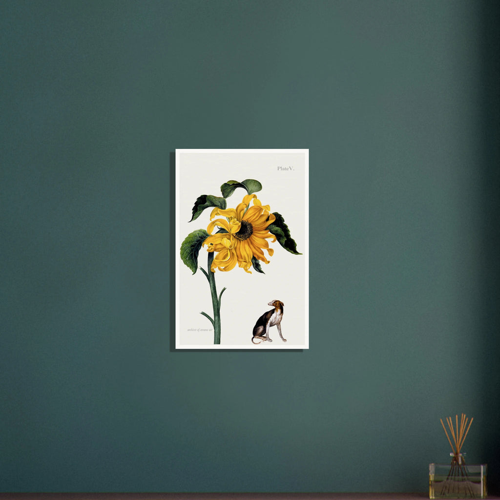 33361a99-9701-464f-8348-d6a62e323f69