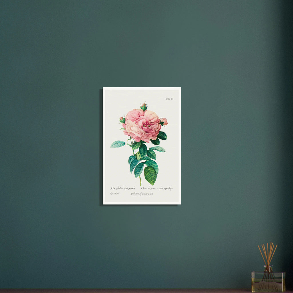 3be53a88-cbfd-44ac-a755-9f8bf16b1ee2