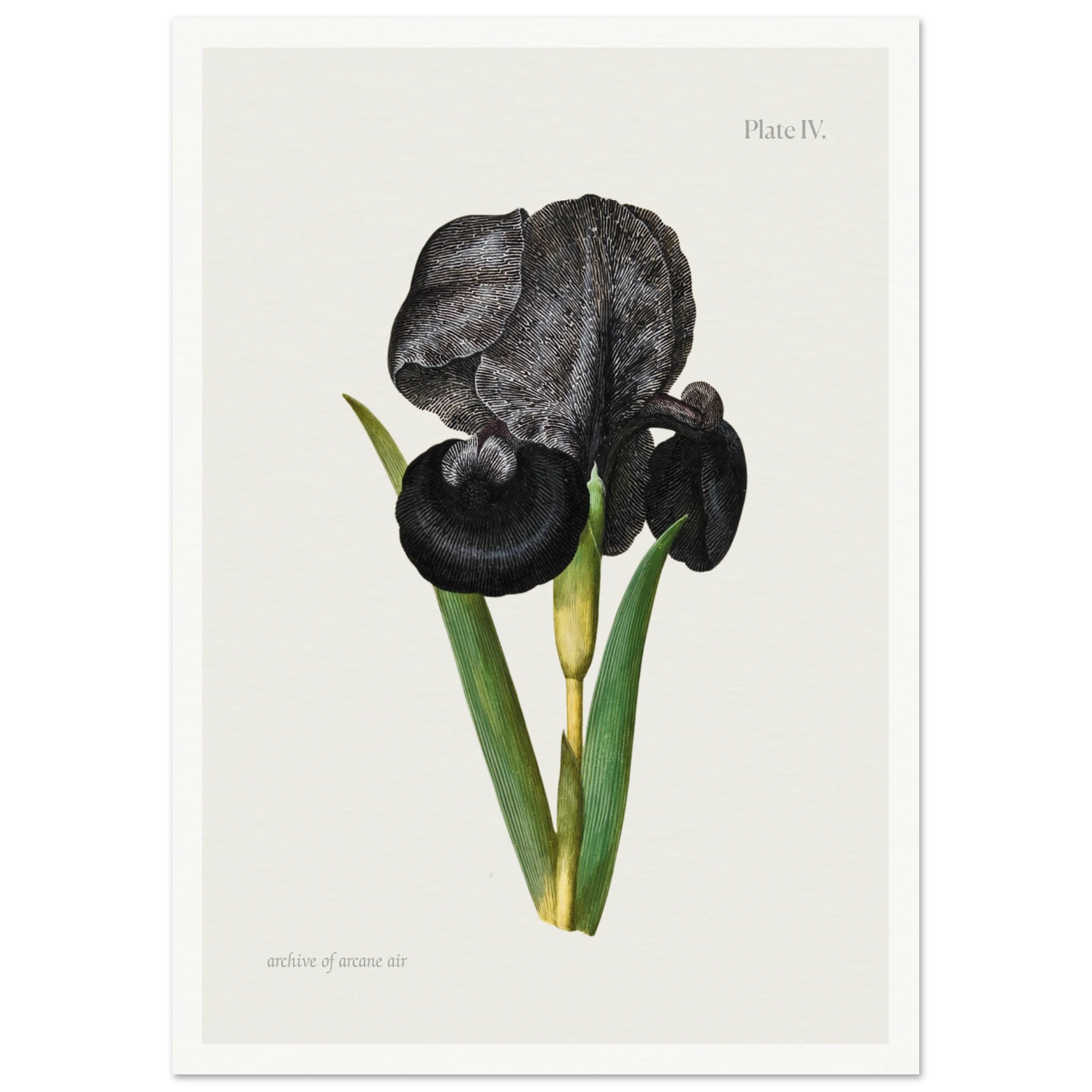 3d240f54-bc3a-4a64-b88e-ad28d597b008