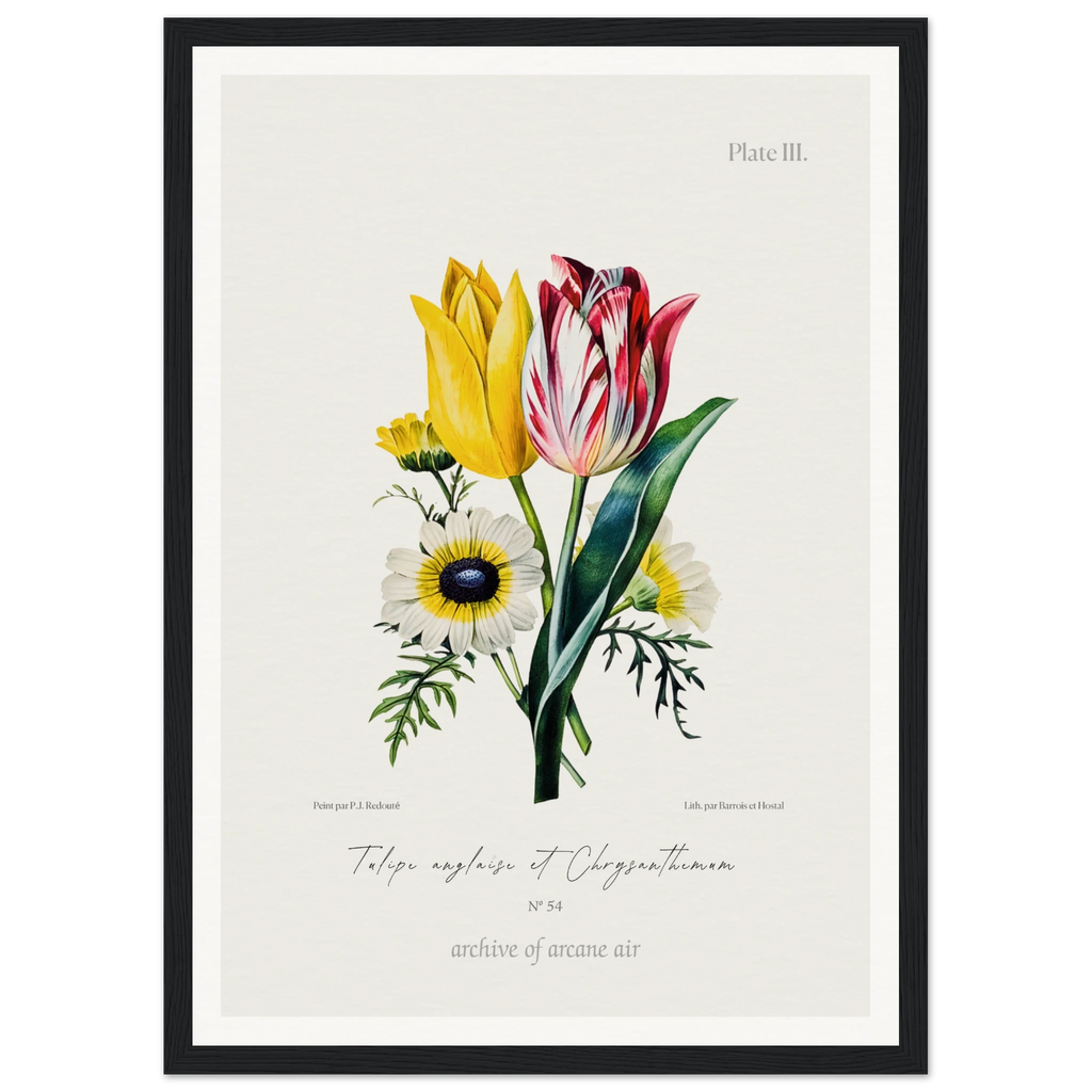 3d57fe9b-7069-4169-aa6c-ecbf000f1c5e