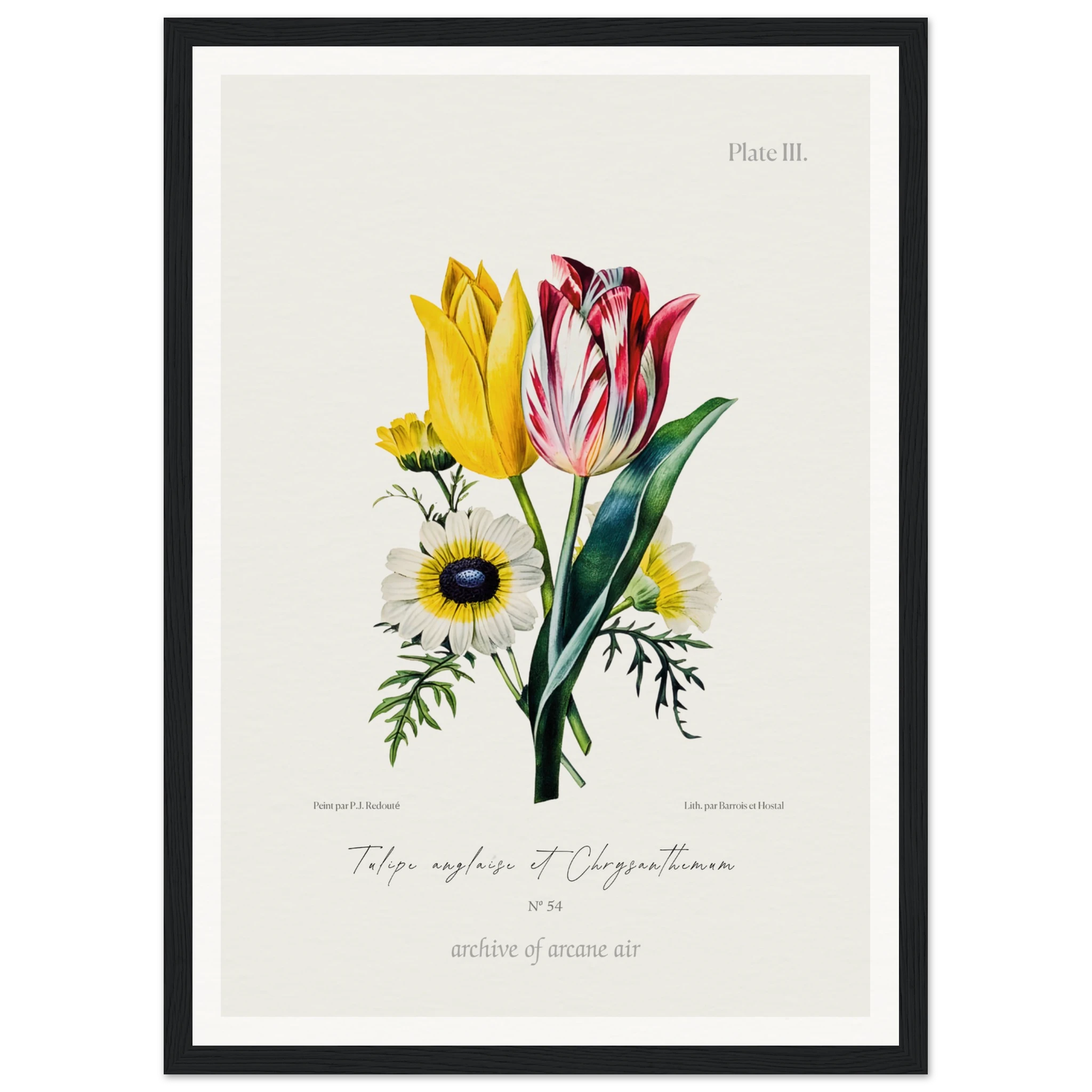 3d57fe9b-7069-4169-aa6c-ecbf000f1c5e