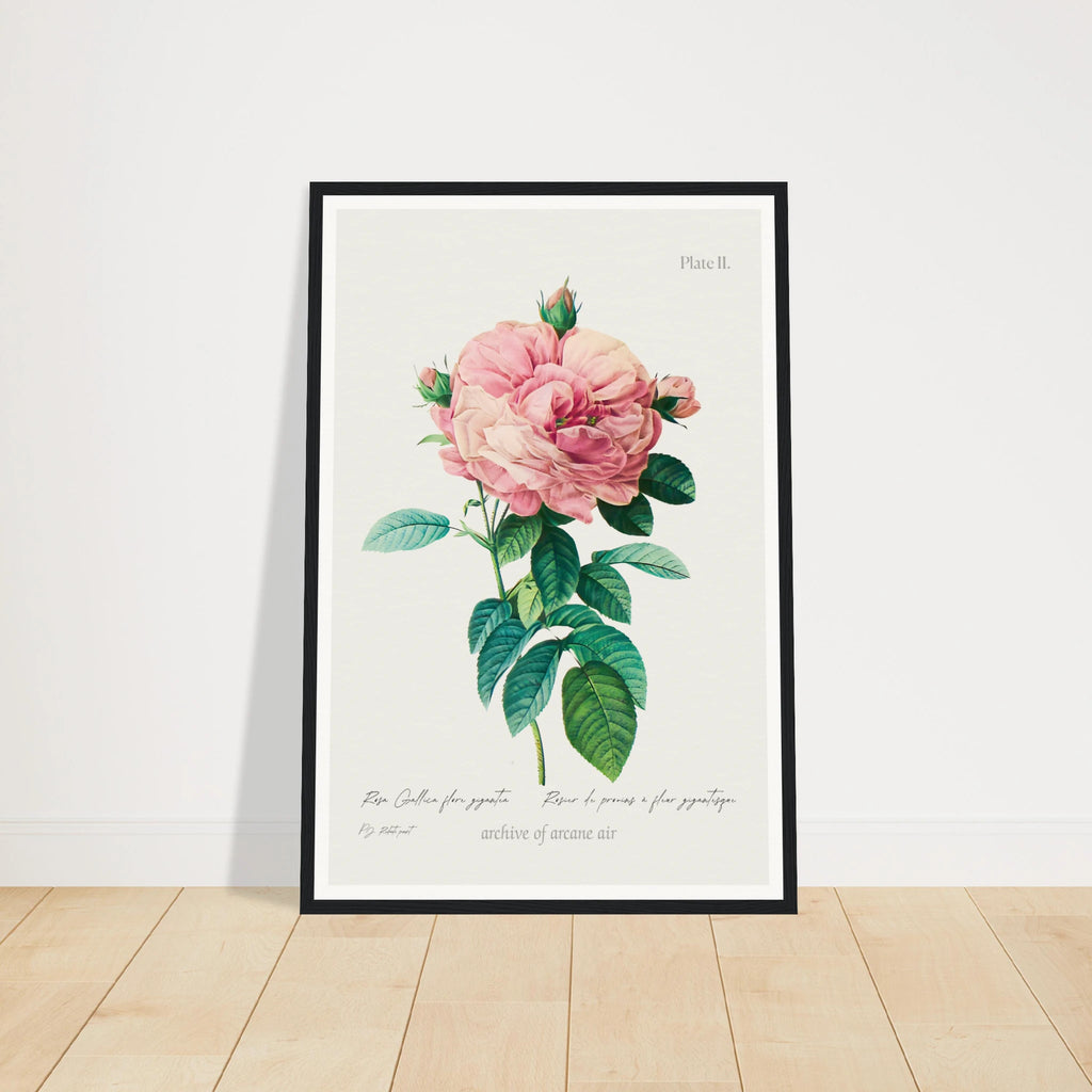 5be6437d-0bd5-4222-aff3-a2376af68017