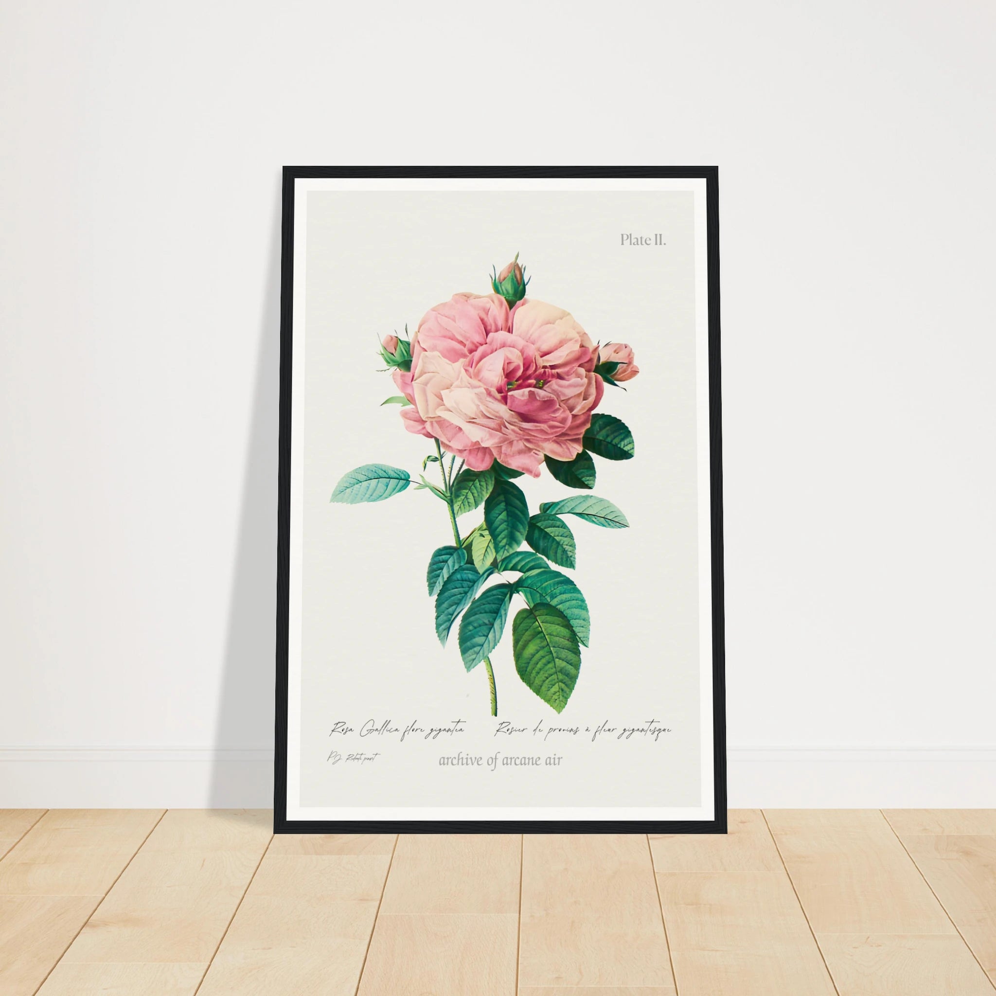 5be6437d-0bd5-4222-aff3-a2376af68017