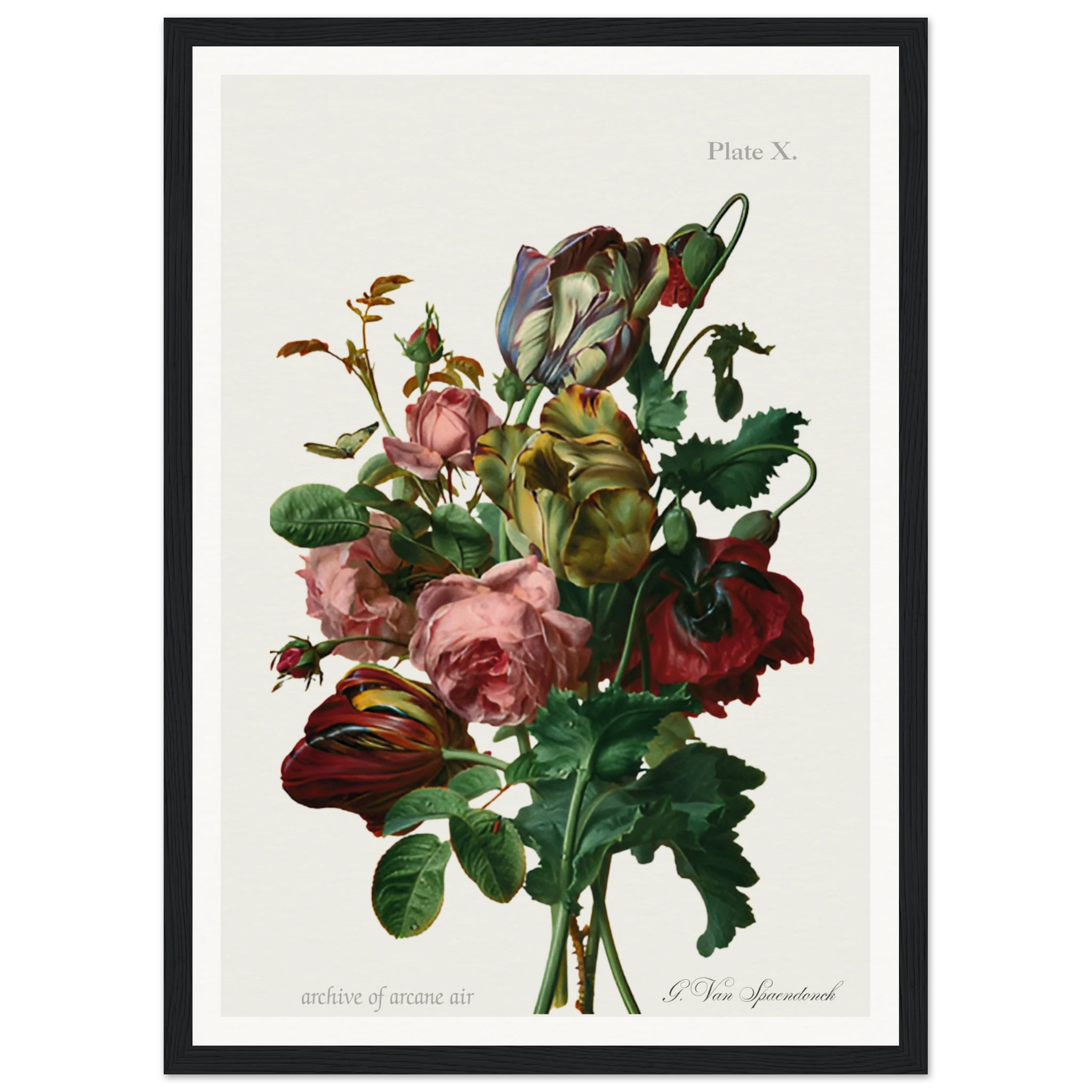 7b541242-d211-48d2-a17b-f60e07d99810