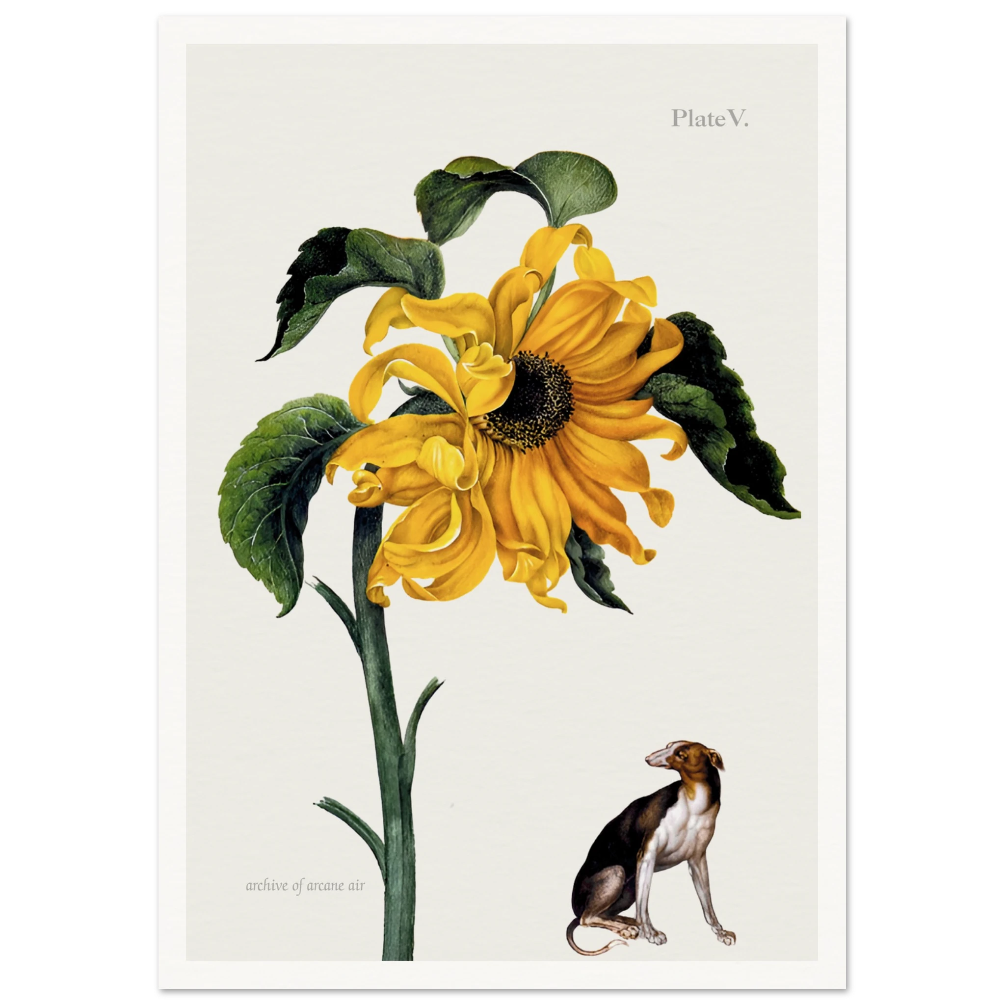 86b44125-fb45-46a1-bc5c-bbd90a1f5693