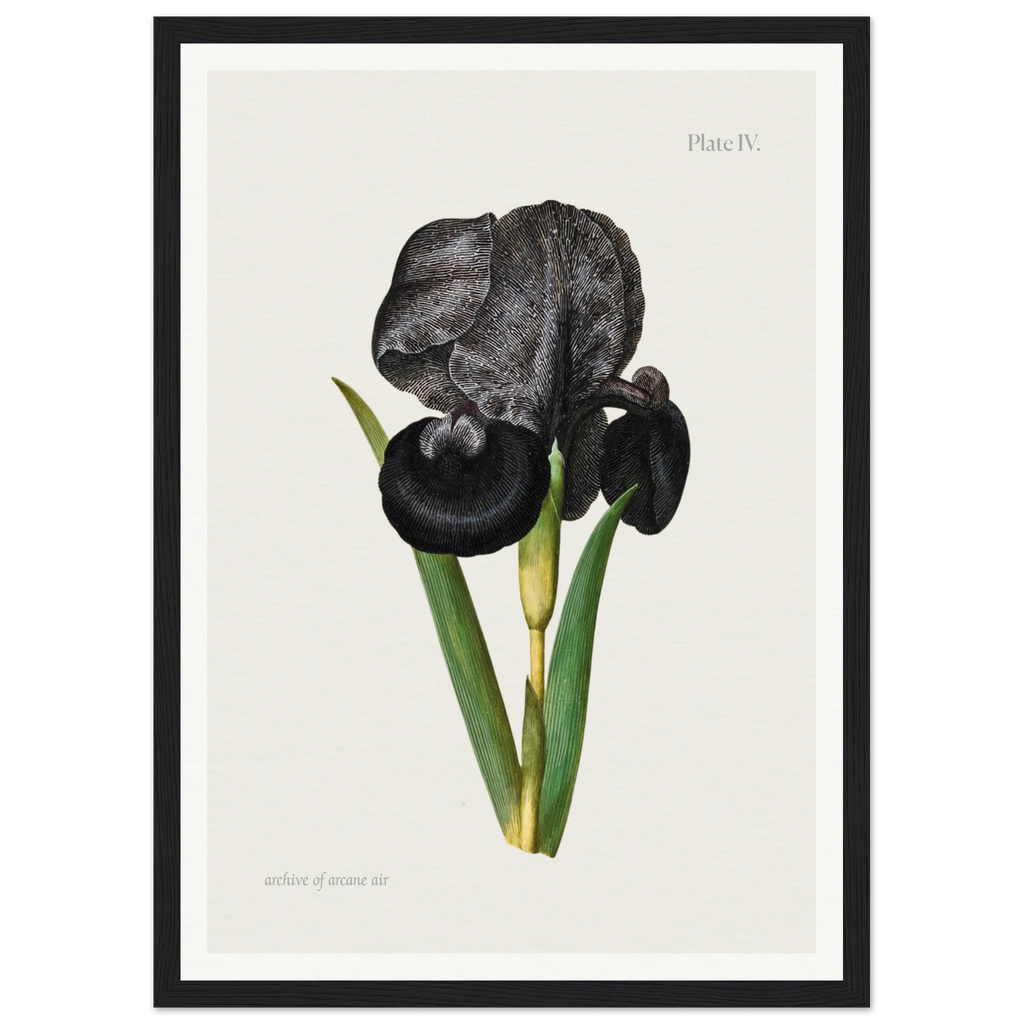 888ed9ad-17fa-4d9e-80ac-7d9c883cfba1