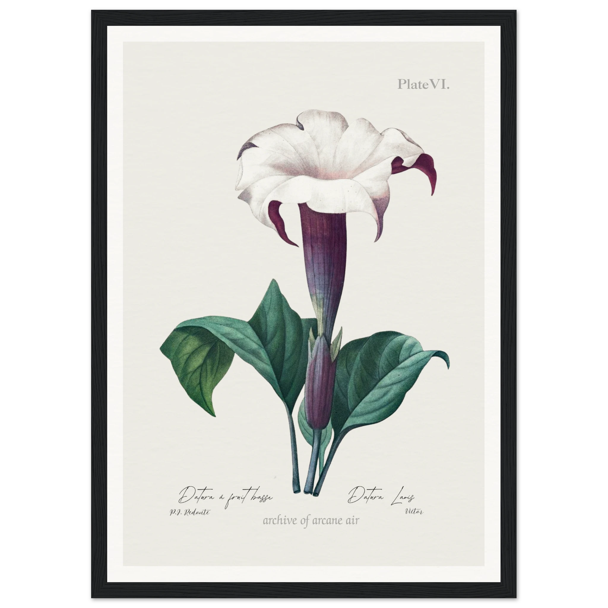 9ecb36f5-4aae-4b80-ba96-52bf3b136d3d