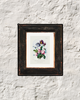 Roses, Bellflowers & Tulips – P.J. Redoute, 1802 | Botanical Print