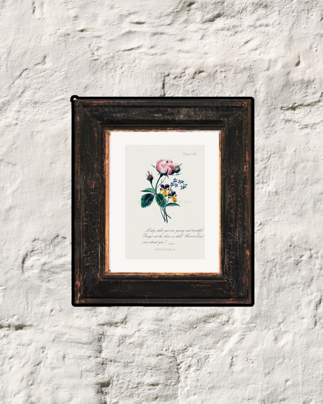 Rose, Forget-Me-Not & Hearts Ease – Sarah Mapps Douglass, 1833 | Botanical Print