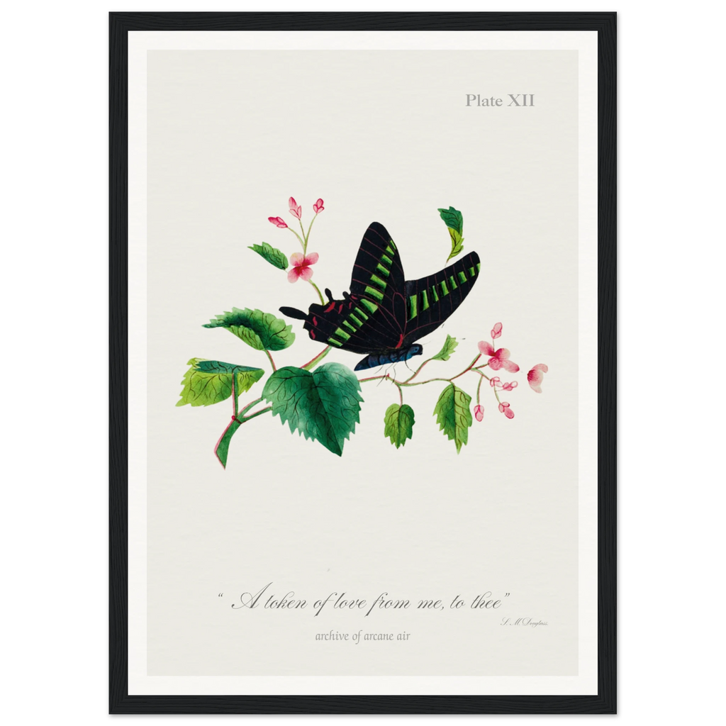 acd472e9-b216-46c8-a4dd-82344f0d1ec0