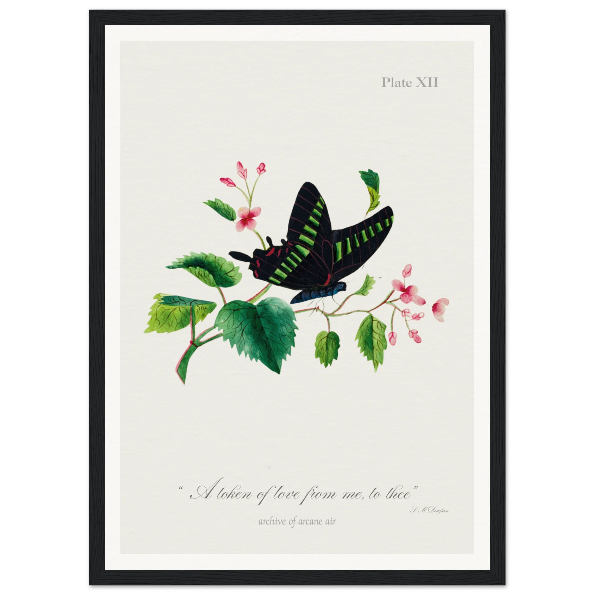 acd472e9-b216-46c8-a4dd-82344f0d1ec0