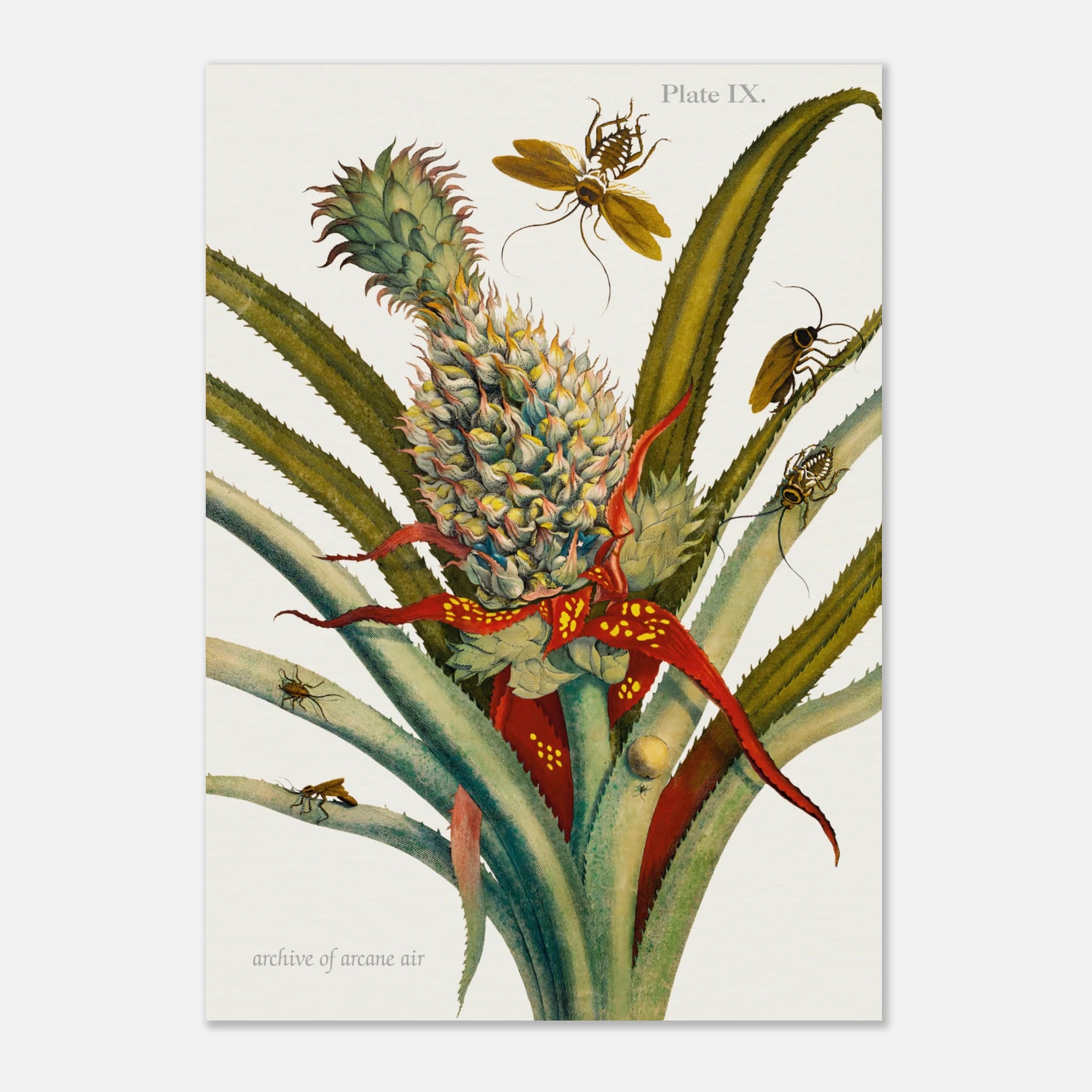 ba009c51-e683-4125-bc03-bf8498d1eb8a