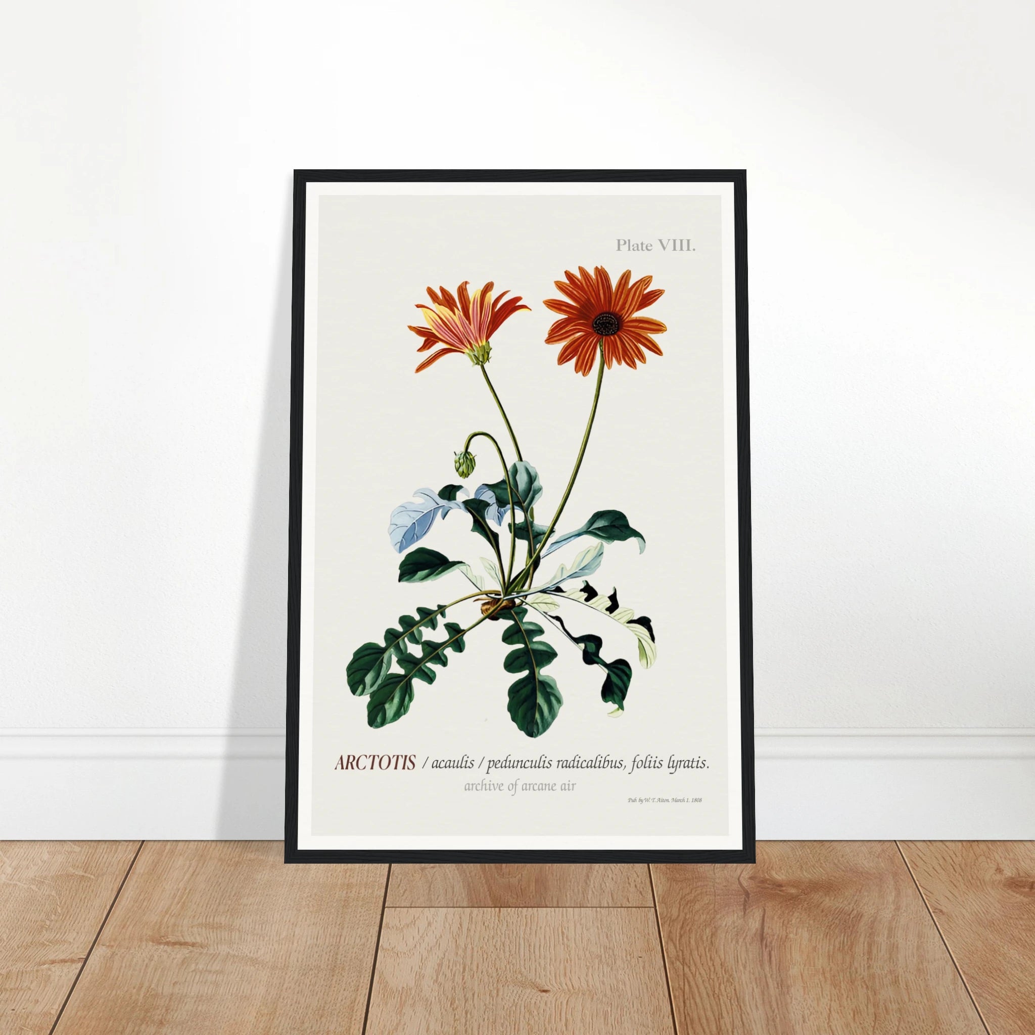 c08716ec-d5b9-42ef-9862-125e741ef9a2