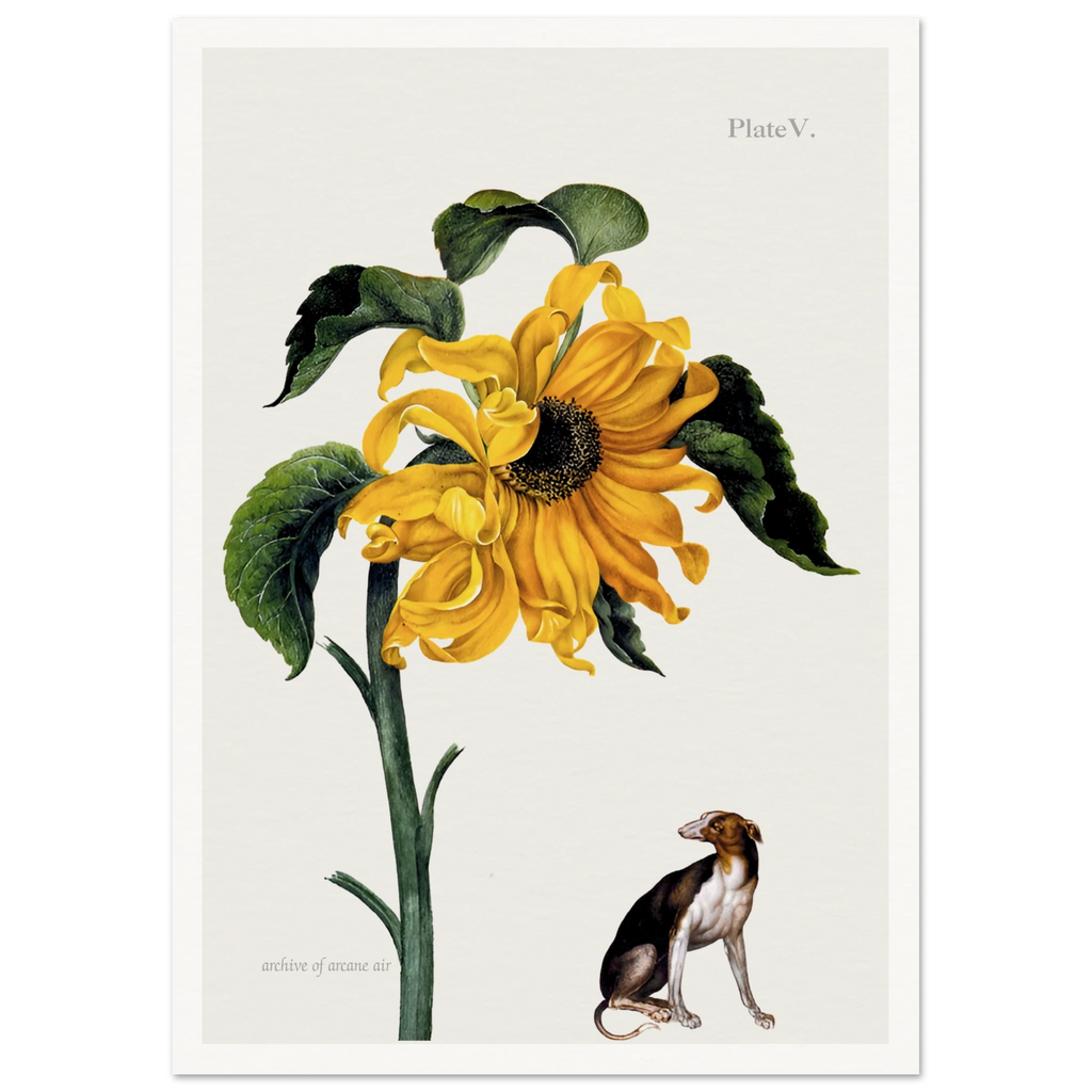 c0b0a73d-9dcb-4fec-8058-9e908e58c41f