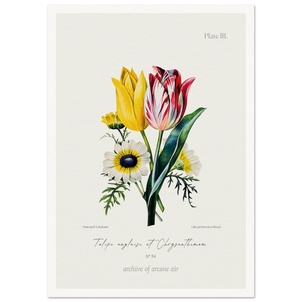 c97f5124-72af-43fa-91a5-6de15cb1d89f