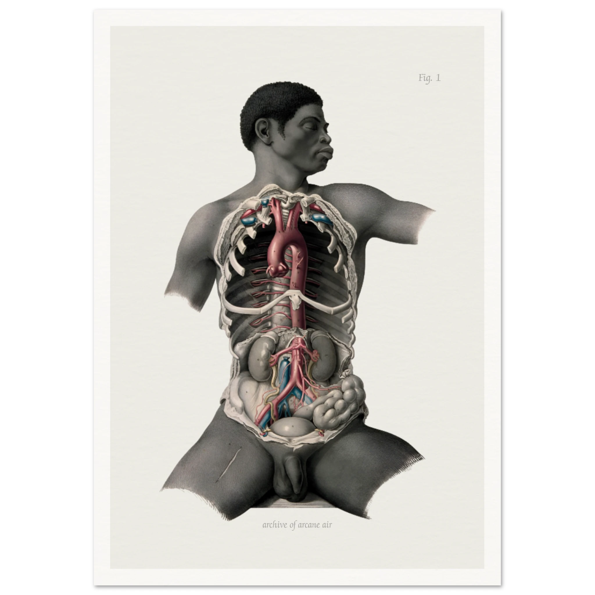 c9d47eaf-226d-433b-b107-615ec67ea53e