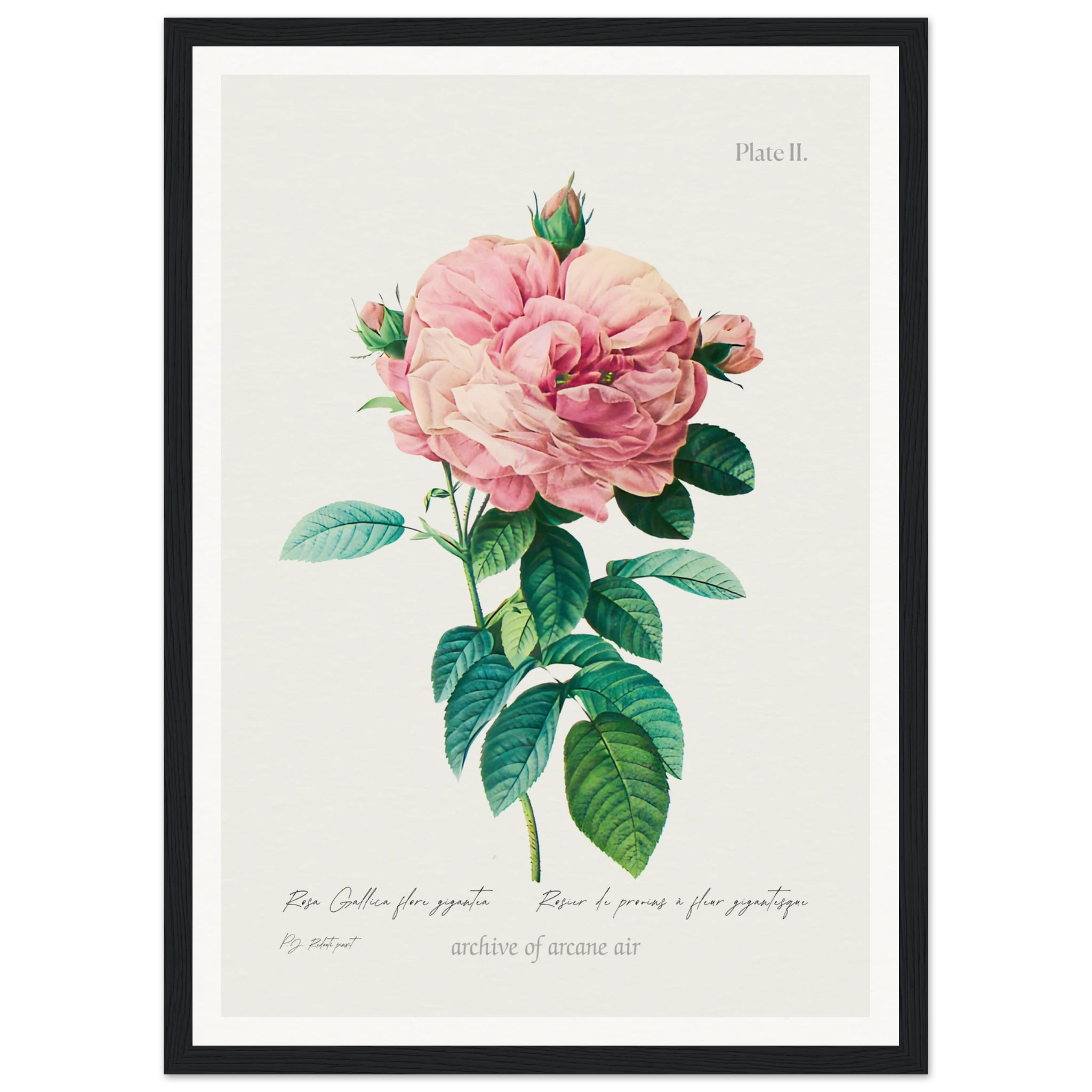 e4752e7d-4bb9-4924-bf5b-69c2bab5d977