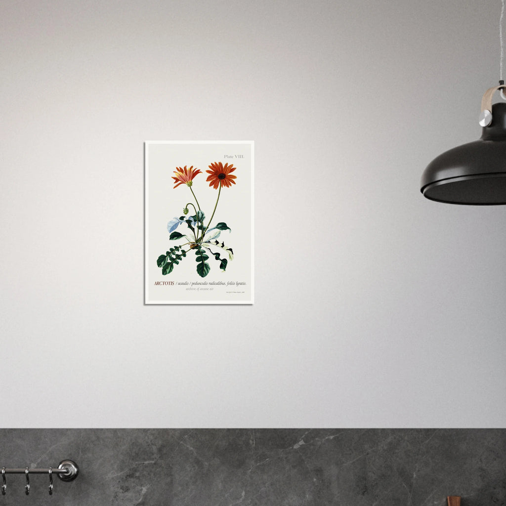 fe2cafa4-5a64-46bb-b7d4-4847f0d163d8