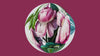 Load and play video in Gallery viewer, Selected Florilegium: Plate III
